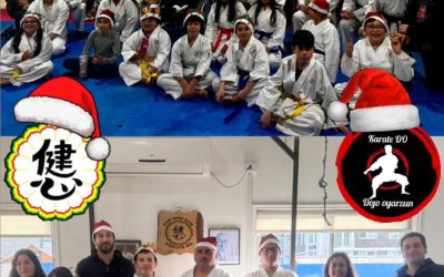 LLEGO DICIEMBRE Y NAVIDAD EN EL DOJOS AYSEN Y COYHAIQUE